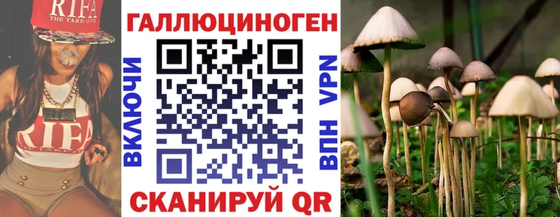OMG как зайти  Озёрск  Галлюциногенные грибы мицелий 