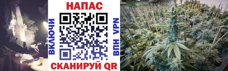 МЕГА ССЫЛКА  Озёрск  Бошки Шишки VHQ 